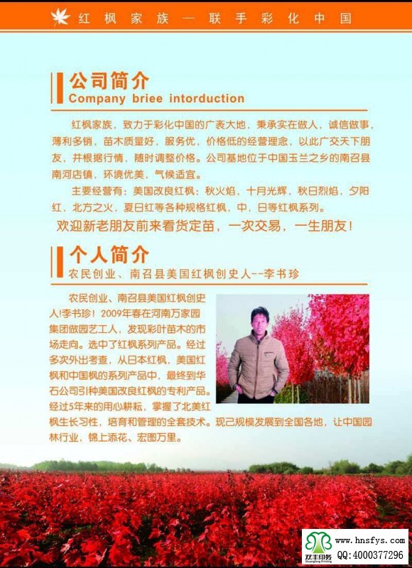 河南印刷廠：紅楓家族 宣傳畫冊(cè)